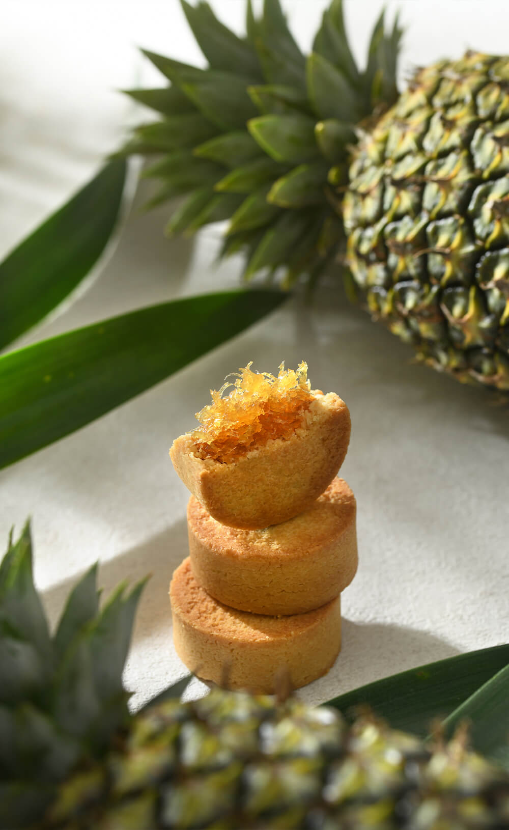 屏東名物伴手禮專門店-大武山土鳳梨酥