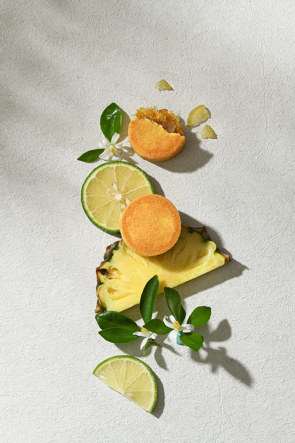 大武山檸檬土鳳梨酥/10入2