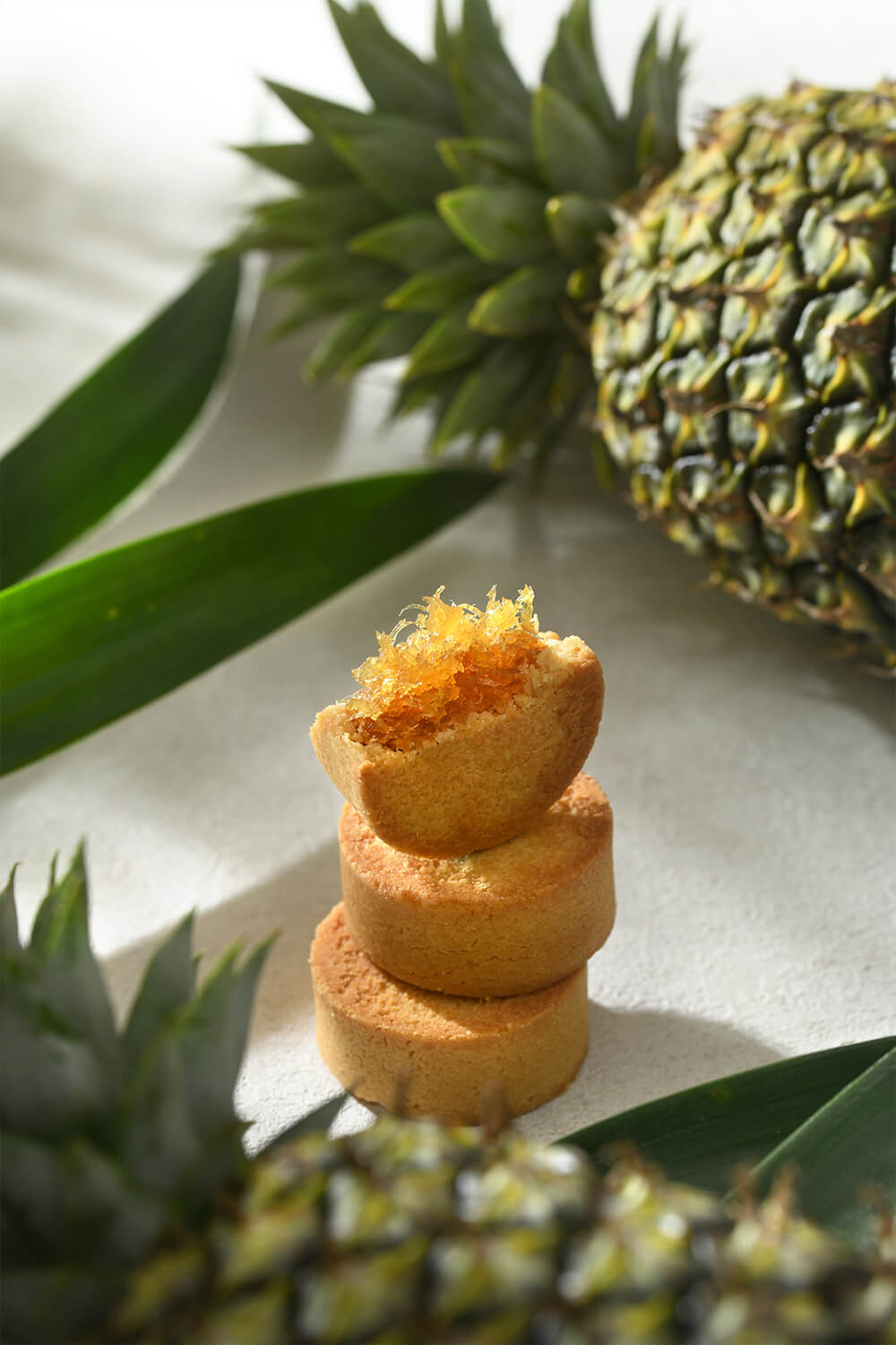 大武山綜合土鳳梨酥/10入